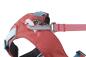 Preview: Ruffwear Hi & Light Harness Pink Salmon Gr. L/XL Preview: Ruffwear Hi & Light Harness Pink Salmon Gr. L/XL